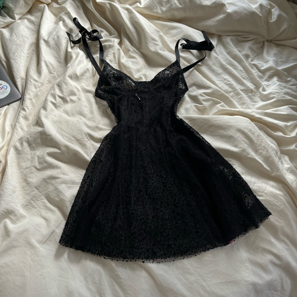 Are You Am I velvet dotted tulle dress